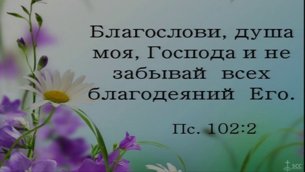 Благодарю тебя Господи