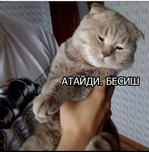 Когда обиделась на него