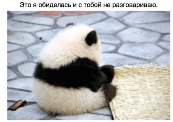 Панда сидит спиной