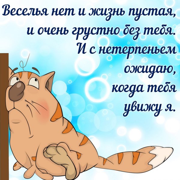 Прикольные открытки любимому