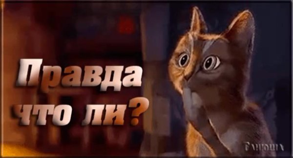 Гифки смешные с надписями