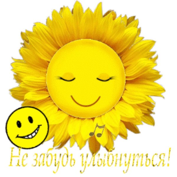 Хорошего дня солнышко