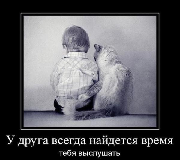 Настоящая Дружба