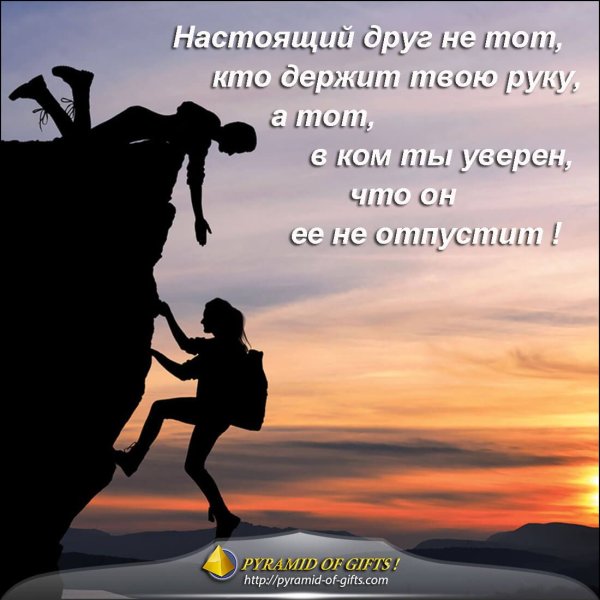 Высказывания о дружбе