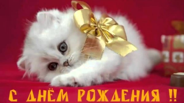Супер открытки