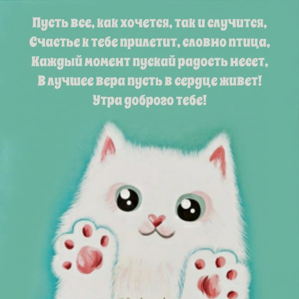 Доброе утро котик мой