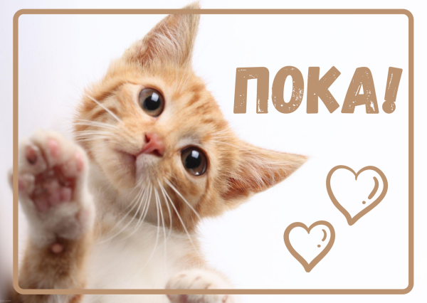 Открытка пока