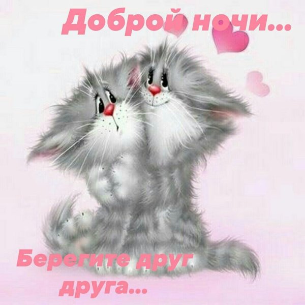 Открытки с котиками любимому