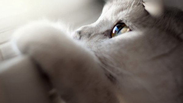 Грустно без тебя
