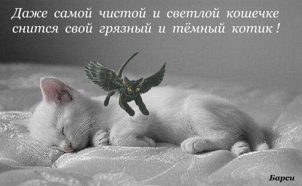 Нежные пожелания спокойной ночи с животными