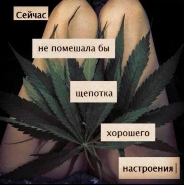 Наркотики надпись