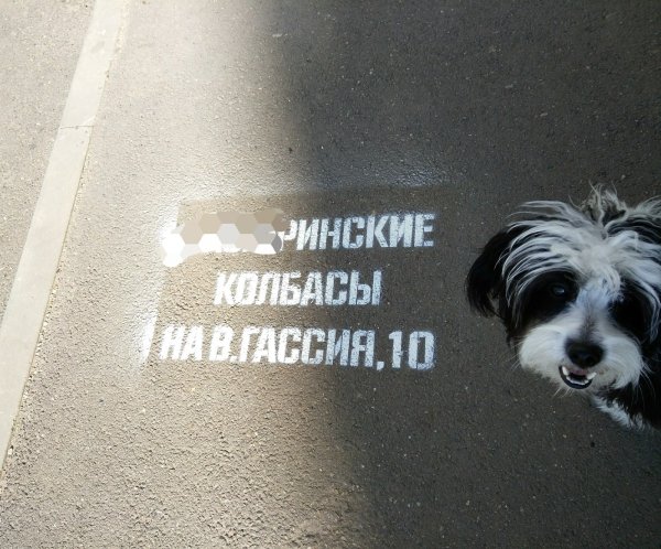 Лозунги против наркомании