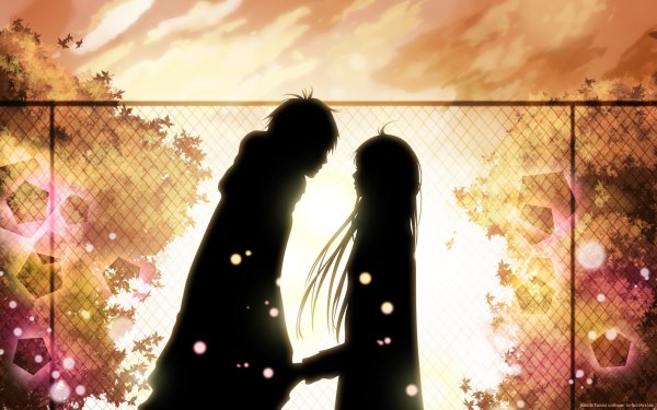 Kimi no Todoke