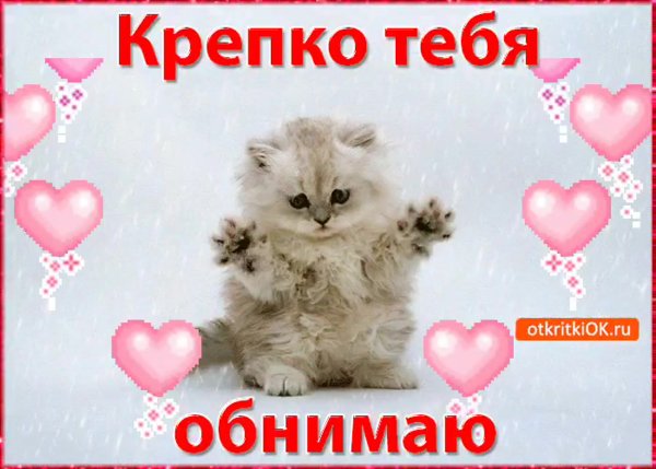 Обнимаю тебя крепко