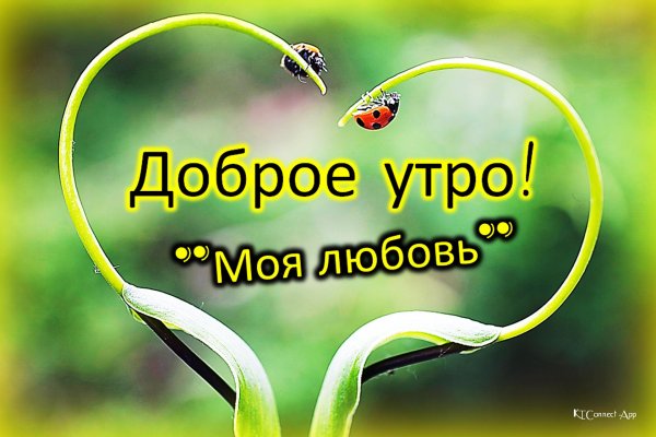 Любви прекрасные мгновения