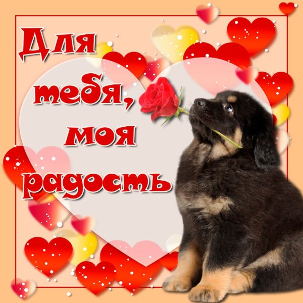 Открытое сердце