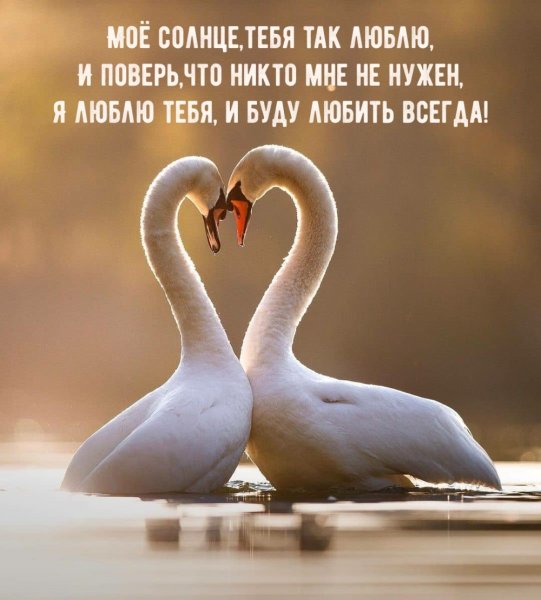 Открытки любимому