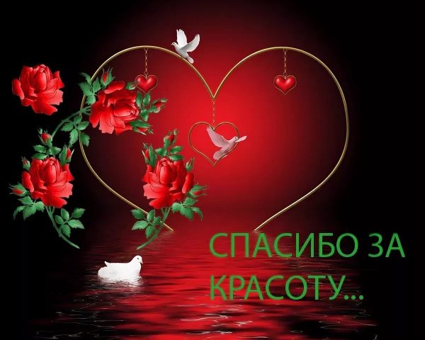 Спасибо за красоту открытки