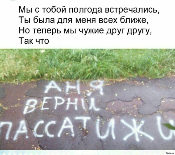 Смешные высказывания про Аню