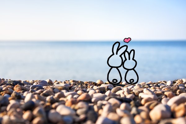 Зайчик на море