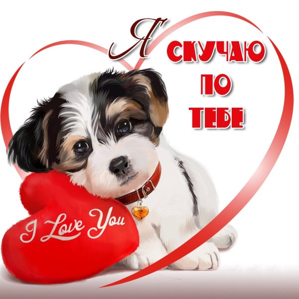 Люблю тебя всем сердцем