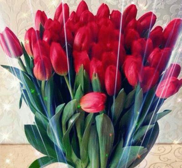 Картинки с надписью тюльпаны для тебя (46 фото)