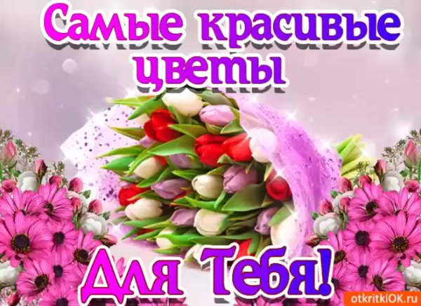 Цветы к твоим ногам