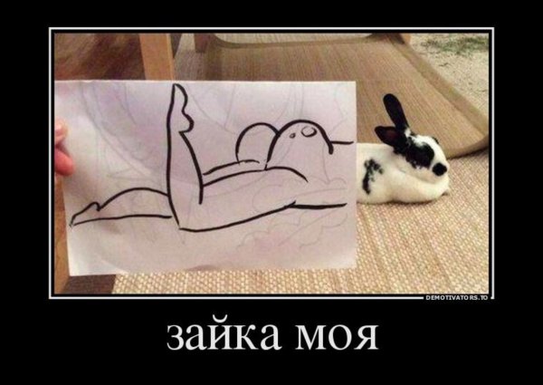 Приколы рисунки демотиваторы