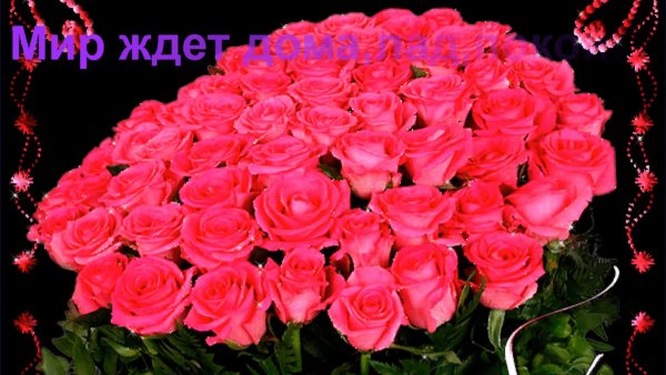 Красивые мерцающие букеты