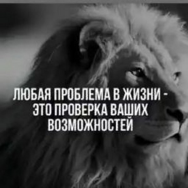 Афоризмы про трудности в жизни