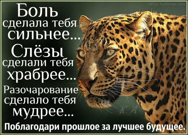 Мудрые высказывания