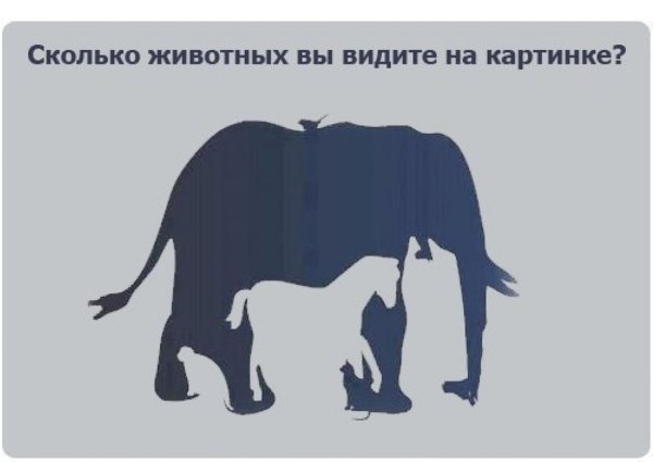 Сколько животных на картинке