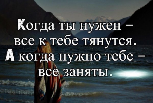 Нужные цитаты