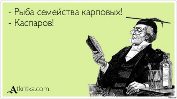 Циничные шутки
