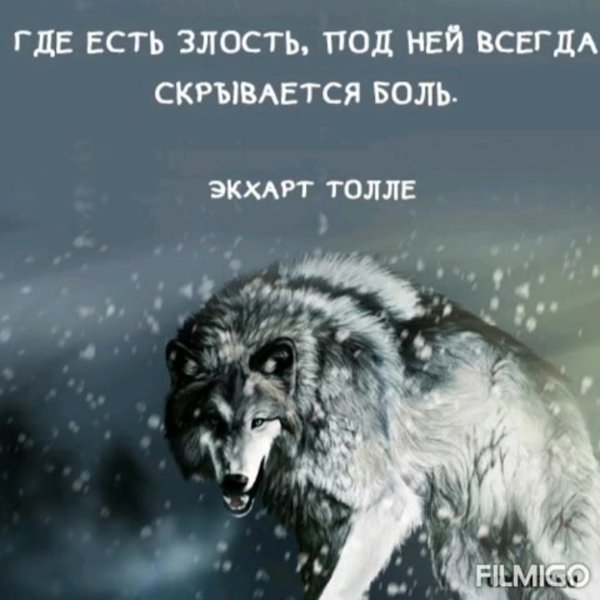 Живу назло врагам достойно