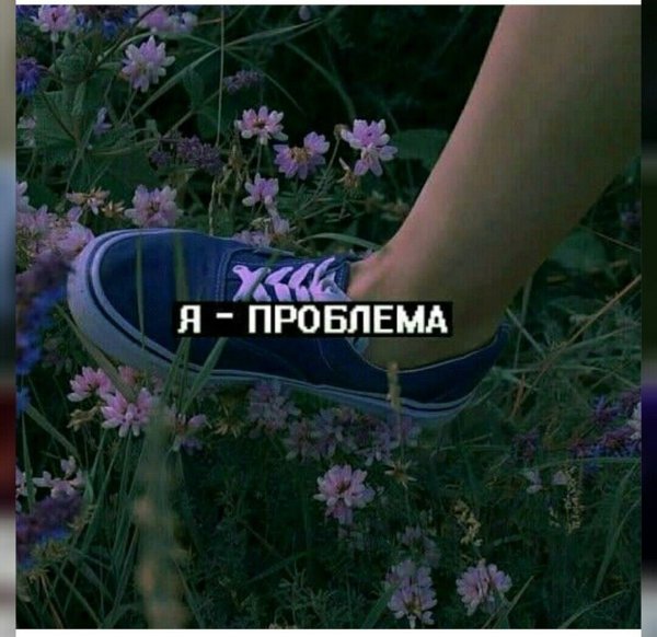 Сохры с надписями