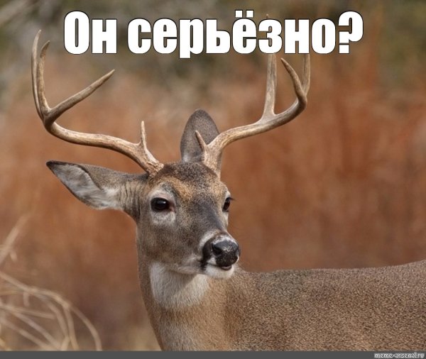 Наивный олень