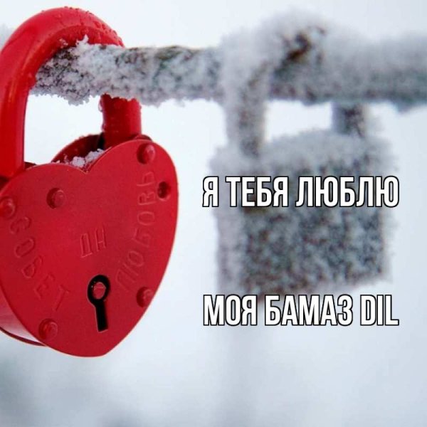 Люблю тебя