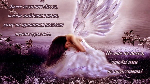 Усть ангел хоанит тебя