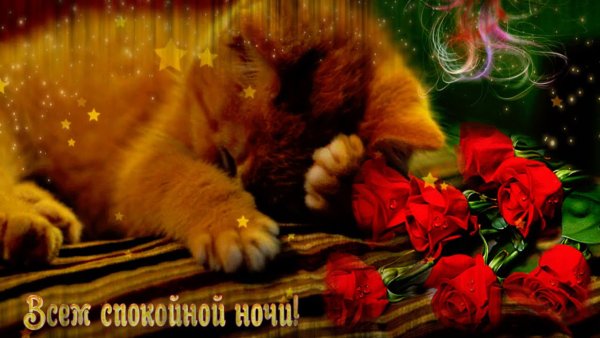 Спокойной ночи