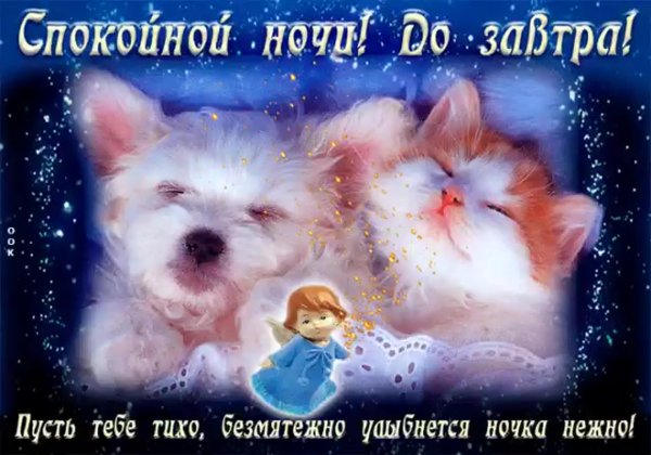 Прекрасных снов