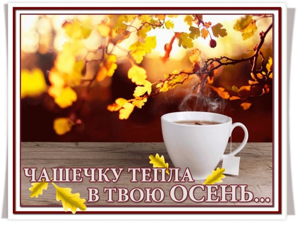 Душевного тепла в осенний день