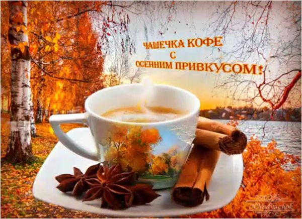 Чашечка тепла осенью
