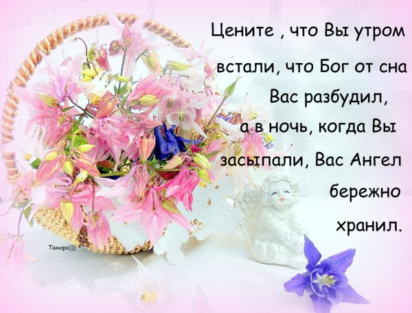 Пусть жизнь радует вас