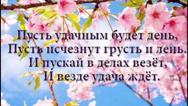 Удачного дня и хорошего настроения