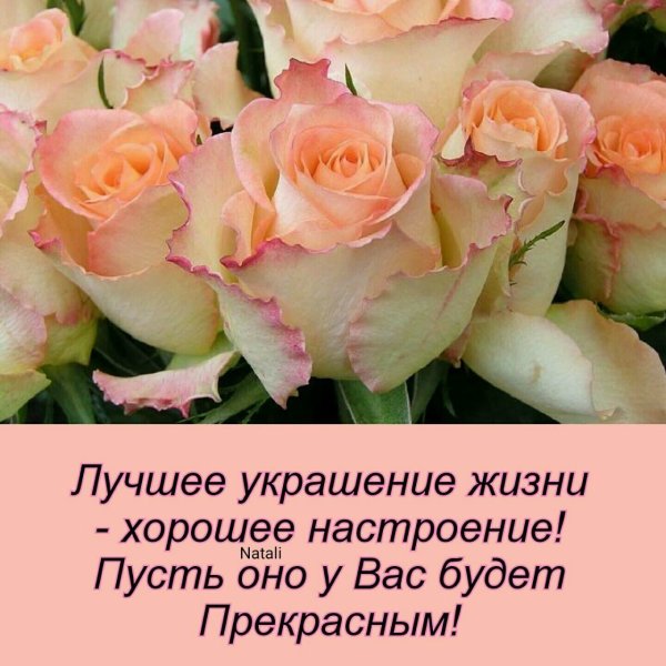 Пусть будет настроение хорошим
