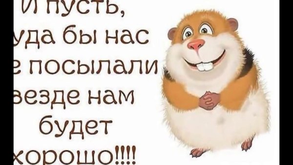 Цитаты про среду позитивные