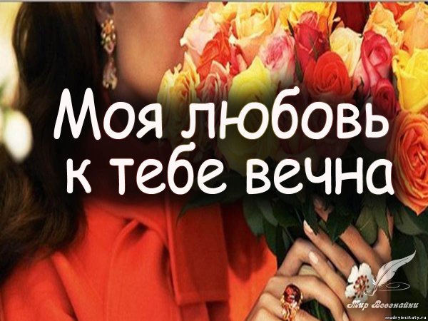 Милые цитаты