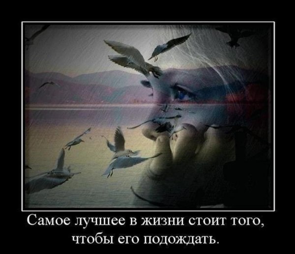 Мотиваторы про жизнь со смыслом