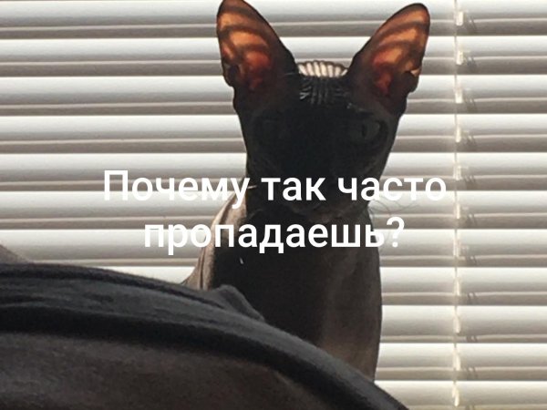 Почему так часто пропадаешь